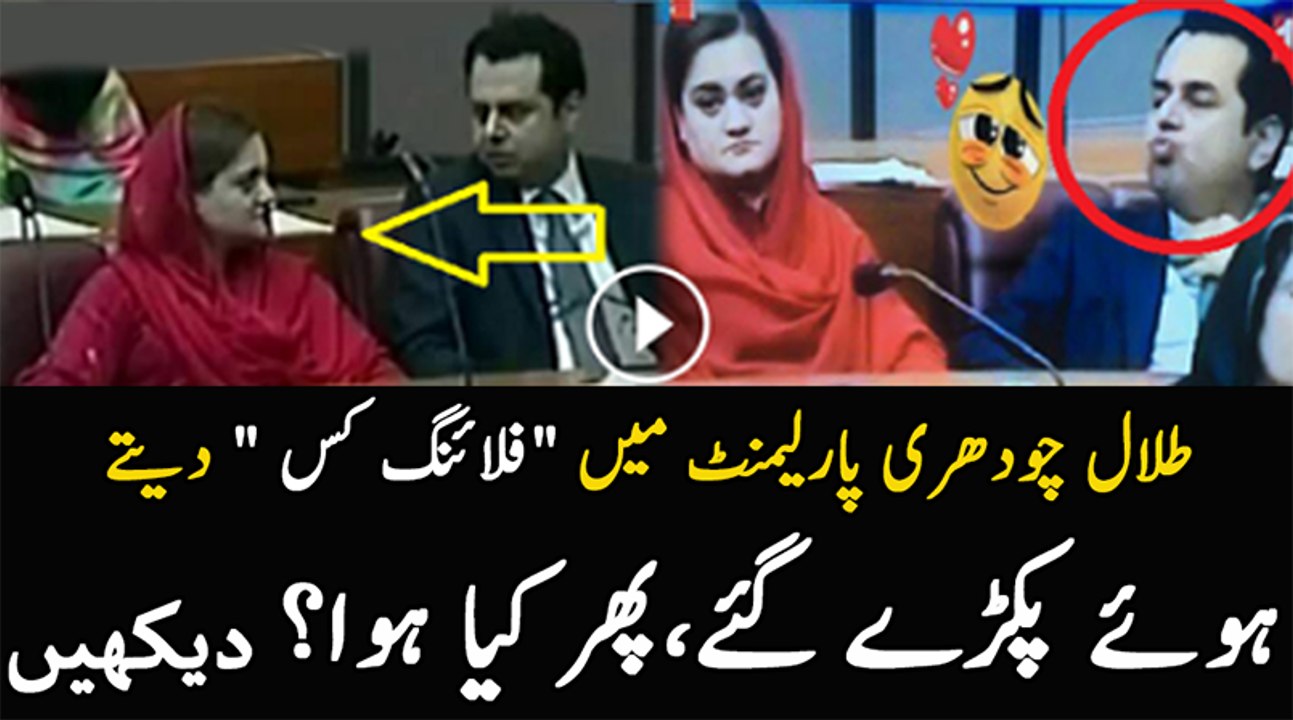 See What Talal Chaudhry Is Doing In Parliament