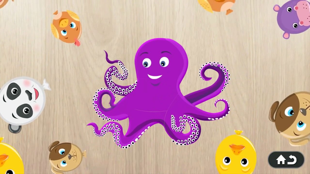 Animals Puzzle For Kids - Kids learn Animal - Education App for Kids