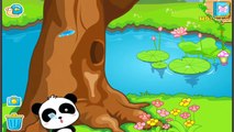 Kids Learn Insects with Baby Panda | BabyBus Paradise of Insects Educational Games For Kids