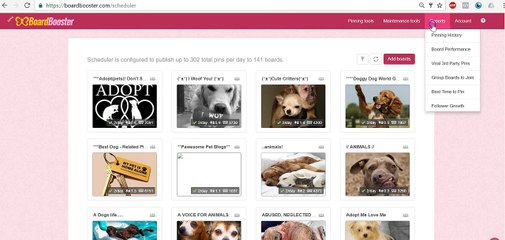 Labubo 16: Board Booster Setup -Blogging for beginners Part 16