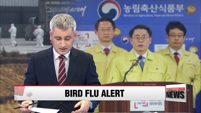 Korea issues highest alert against bird flu for first time