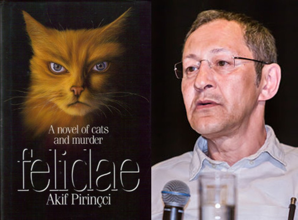 Novels Plot Summary 286: Felidae