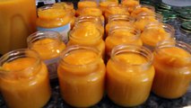 Save hundreds (or thousands) of dollars on Baby Food!! by Patty Shukla