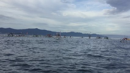 El turismo masivo pone en riesgo a los delfines en Asia