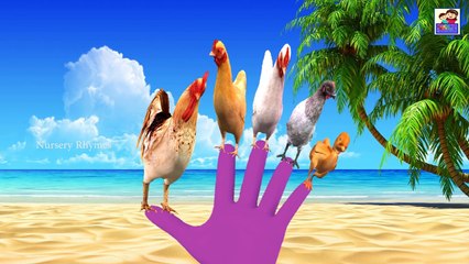 Finger Family Collection || FUNNY CARTOONS FOR KIDS || 3D Animations For Kids