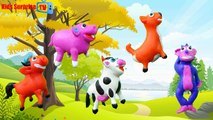 Animals Finger Family Collection | Animals Cartoons Nursery Rhymes | Kids Songs