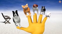 Finger Family || GHOST, DOG, CAT Version || Nursery Rhymes and Baby Songs