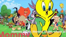 Looney Tunes Finger Family Collection Baby Looney Tunes Cartoon Animation Preschool Education