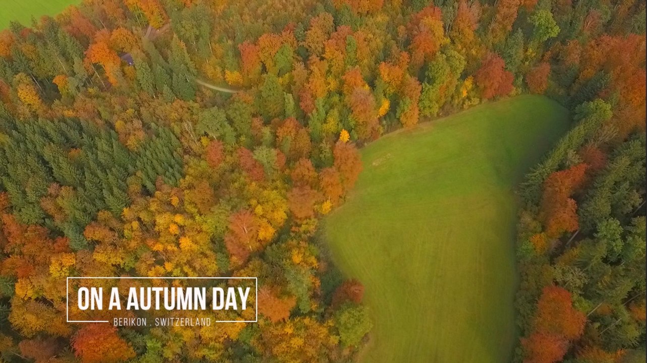 AERIAL / LUFTBILDER 'ON A AUTHUMN DAY' - BERIKON, SWITZERLAND