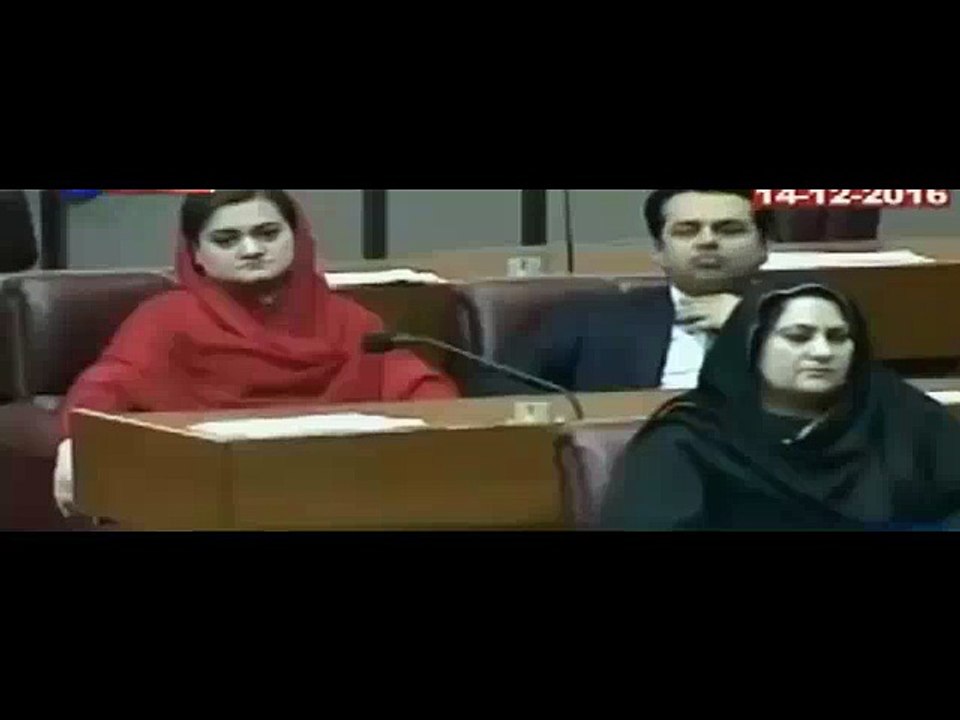 Look What Talal Chaudhry Is Doing In Parliament