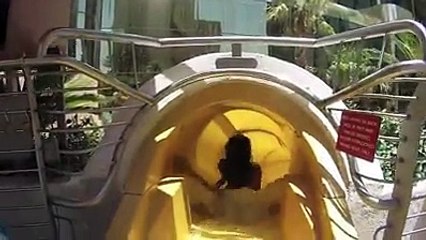 Shark Water Slide Las Vegas Teaser