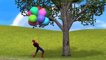 Pom Pom Cake Pops Finger Family Song Spiderman Lollipops Chocolates