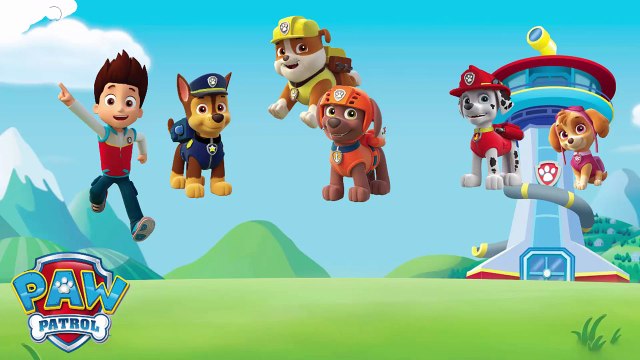 Paw Patrol marvel super heroes Hulk Iron man Captain America Thor Transforming Fun Superhero Videos