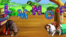 Dog Vs Cat Action Fights ABC Songs Collection ABCD Alphabet Songs In English Phonics Songs For Kids