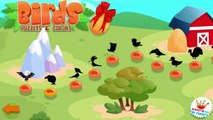Play & Learn Birds Puzzles and Colors Games for Toddlers or Babies Educational games by Magister App