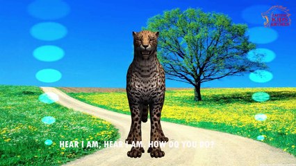 Tiger ,Lion ,Gorilla ,Cheetha ,Crocodile Finger Family Nursery Rhyme | Nursery Rhyme With Lyrics