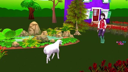 Black Spider Man Incy Wincy Spider Children Nursery Rhymes For Kids