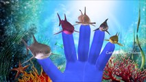 Sharks Finger Family Cartoon Nursery Rhymes For Kids | Finger Family Shark | Rhymes For Children