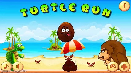 Turtle Run / STEM Studios / Level 1-7 / Gameplay Walkthrough iOS/Android