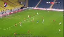 Salih Ucan Goal HD - Fenerbahce 1-0 Amedspor 25.01.2017