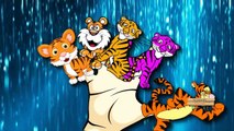Tiger Cartoons For Children Finger Family Nursery Rhymes | Tiger Finger Family Rhymes For Children