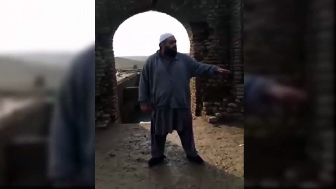 Molana Funny dance