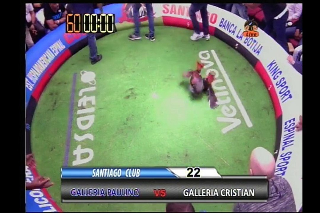 Galleria Paulino vs Galleria Cristian!