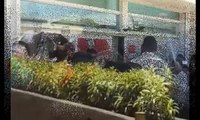 Tiroteio Deixa Baleados no Shopping Ilha Plaza, RJ ,Rio, Durante Assalto