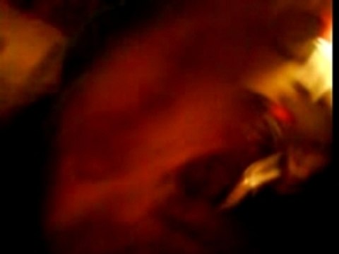 Délire entre potes [MustangManiac]