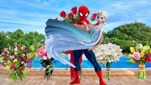 Spiderman and Frozen Elsa MUSTACHE BEARD long hair Finger Family Nursery Rhymes Lyrics