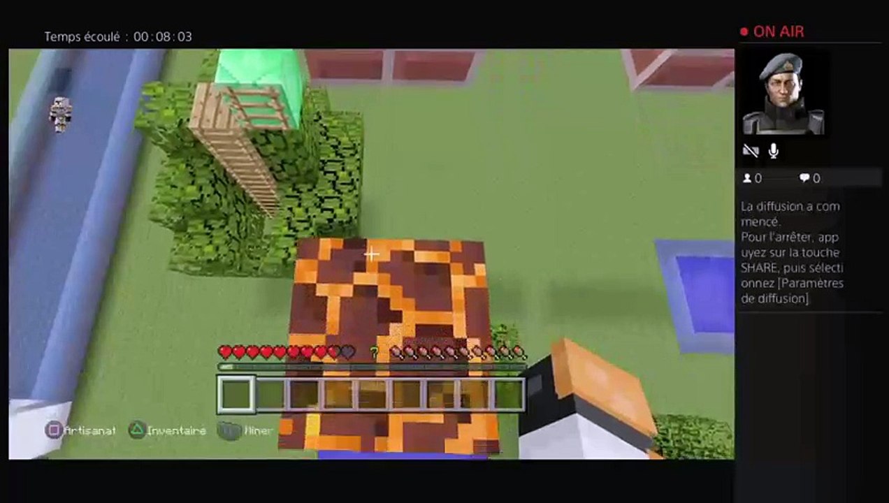 Minecraft (11)