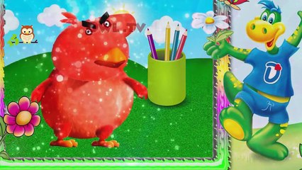 Peppa Pig Angry Birds O Filme / Family Finger Lyrics More Nursery Rhymes