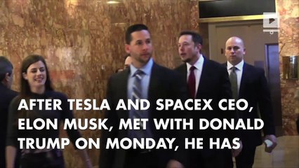 Elon Musk believes Rex Tillerson could be an 'excellent' Secretary of State