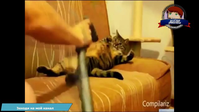 Лучшая смешная подборка видео приколов за октябрь 2016!!! Новые приколы до слез - тест не смейся