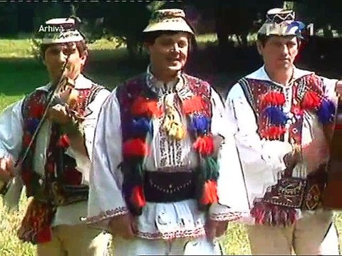 Viorel Costin si Fratii Florea - Dragu-mi a hori si-a zice - Arhiva
