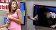 "Halka" Filmindeki Kız Ekrandan Fırlayınca Müşteriler Çığlık Çığlığa Kaçıştı