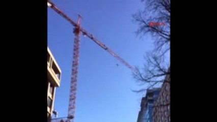 ABD'deki Trump Karşıtları Beyaz Saray Yakınındaki Vince Tırmandı