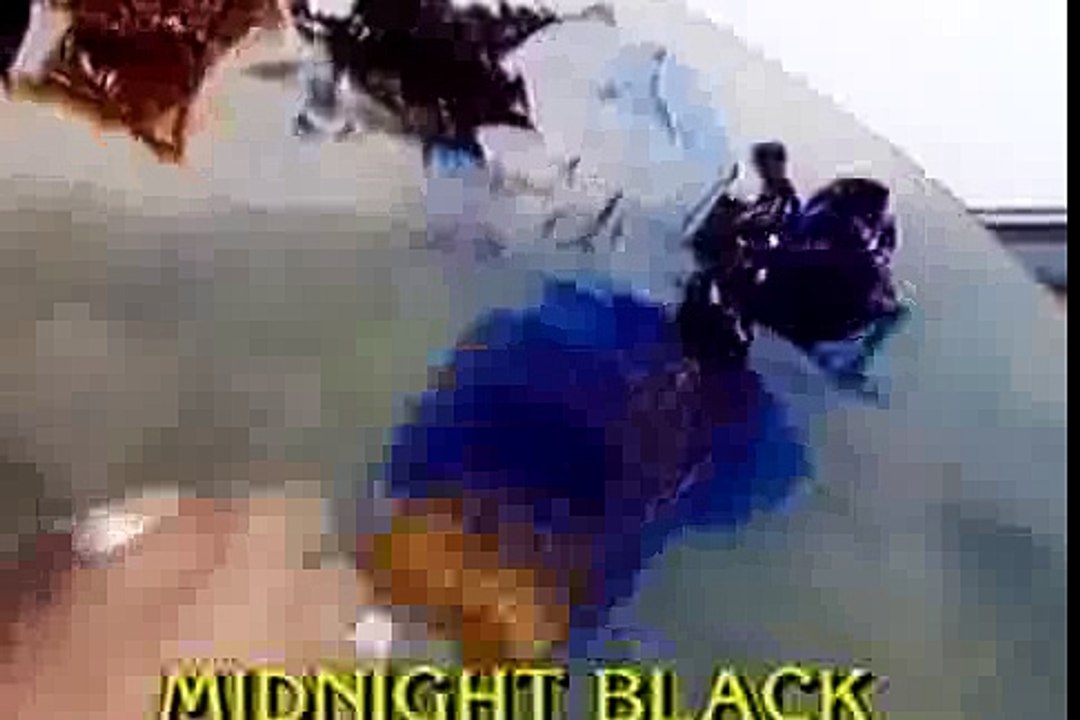 Bob Ross Natures Paradise (Season 9 Episode 11)