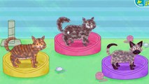 Curious George Pet Day Care - Curious George Games