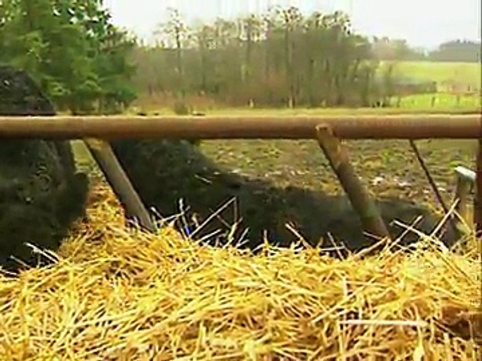 Tagesschau | 24. Januar 1997 20:00 Uhr (mit Dagmar Berghoff) | Das Erste