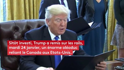 Dakota Access : le pipeline explosif que Trump veut relancer