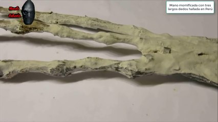 La increíble criatura alienígena con tres dedos encontrada en Tacna, Perú