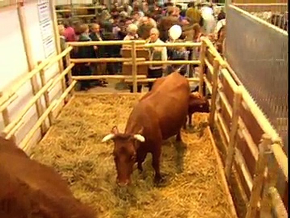 Tagesschau | 25. Januar 1997 20:00 Uhr (mit Jens Riewa) | Das Erste