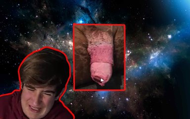 PILAS!!!!!! QUE ANIMAL?????(CONTEM IMAGENS CHOCANTES)