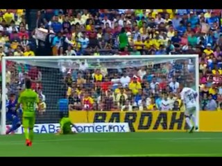 Football Madness Human vs Animals