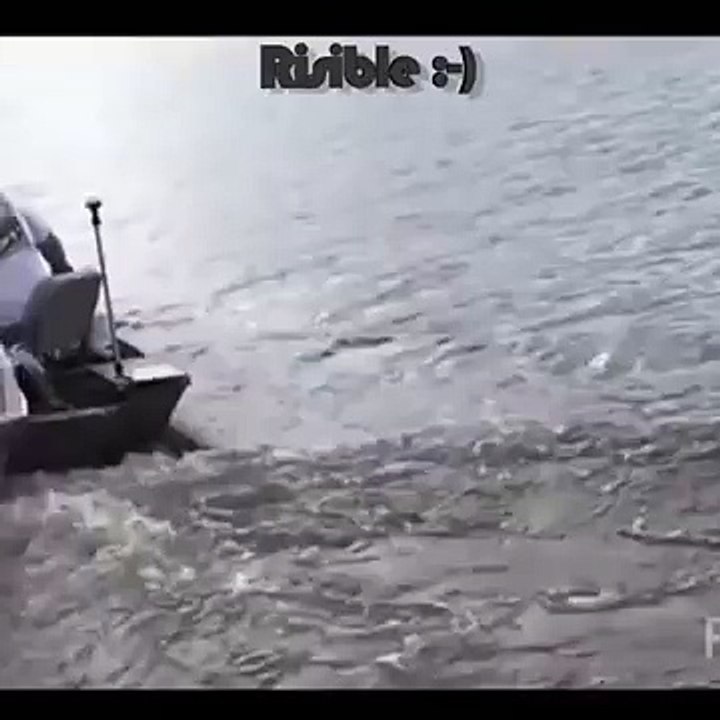 Catch_funny_video