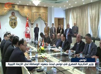 تطويق الأزمة الليبية محور محادثات شكري في تونس