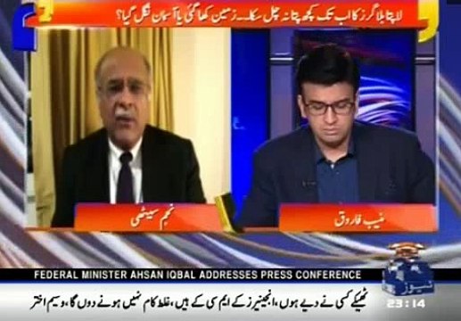 Najam Sethi Declares Aamir Liaqat Hussain Pitthu of Establishment - Detailed Analysis
