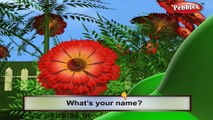 Marigold Rhyme | 3D Nursery Rhymes With Lyrics For Kids | Flower Rhymes | 3D Rhymes Animation