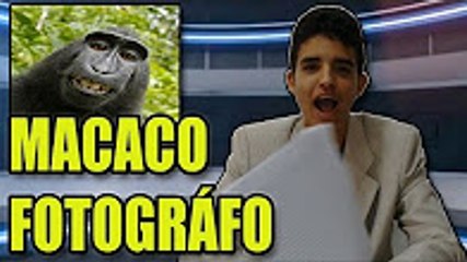 Notícias Da Semana #1 - MACACO FOTÓGRAFO/ PIADAS RUINS!